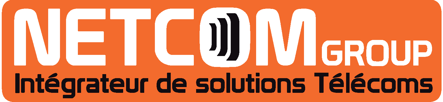 Logo Netcom Group
